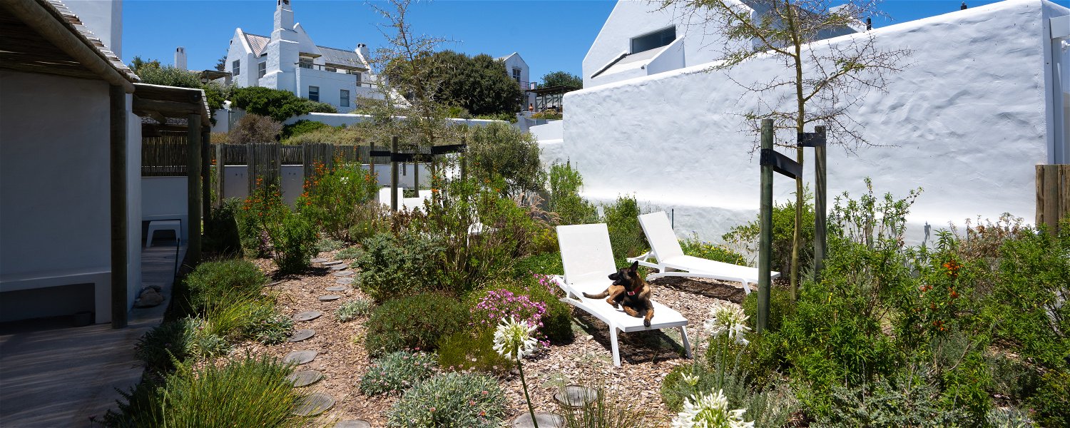 Self catering Pet Friendly Fenced Beach Accommodation in Paternoster Western Cape