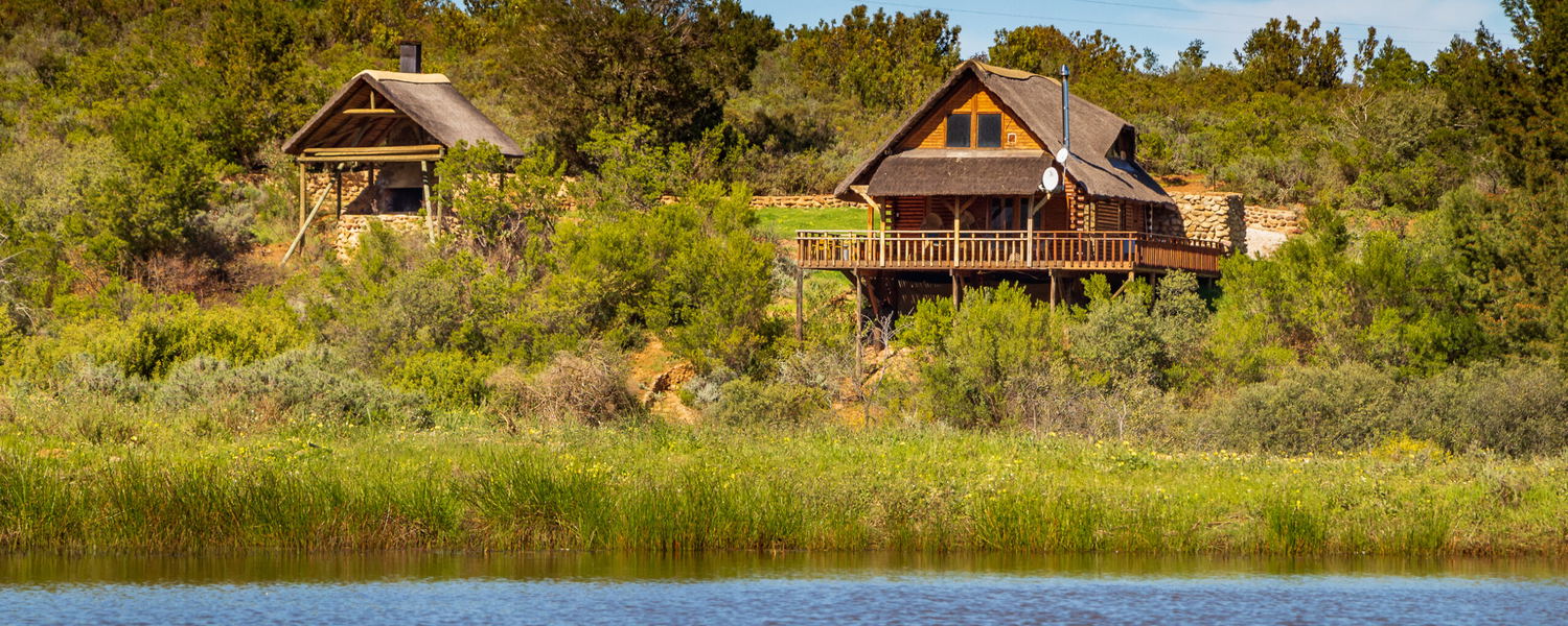 Pet Friendly Accommodation Tulbagh Western Cape