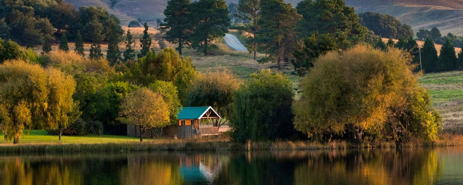 Pet-friendly accommodation in Dargle, KwaZulu-Natal Midlands. Dam-front self-catering cabin for two, small to medium dogs welcome by arrangement. Walking trails, trout dam, no resident dog interaction, ideal for calm, well-managed pets.