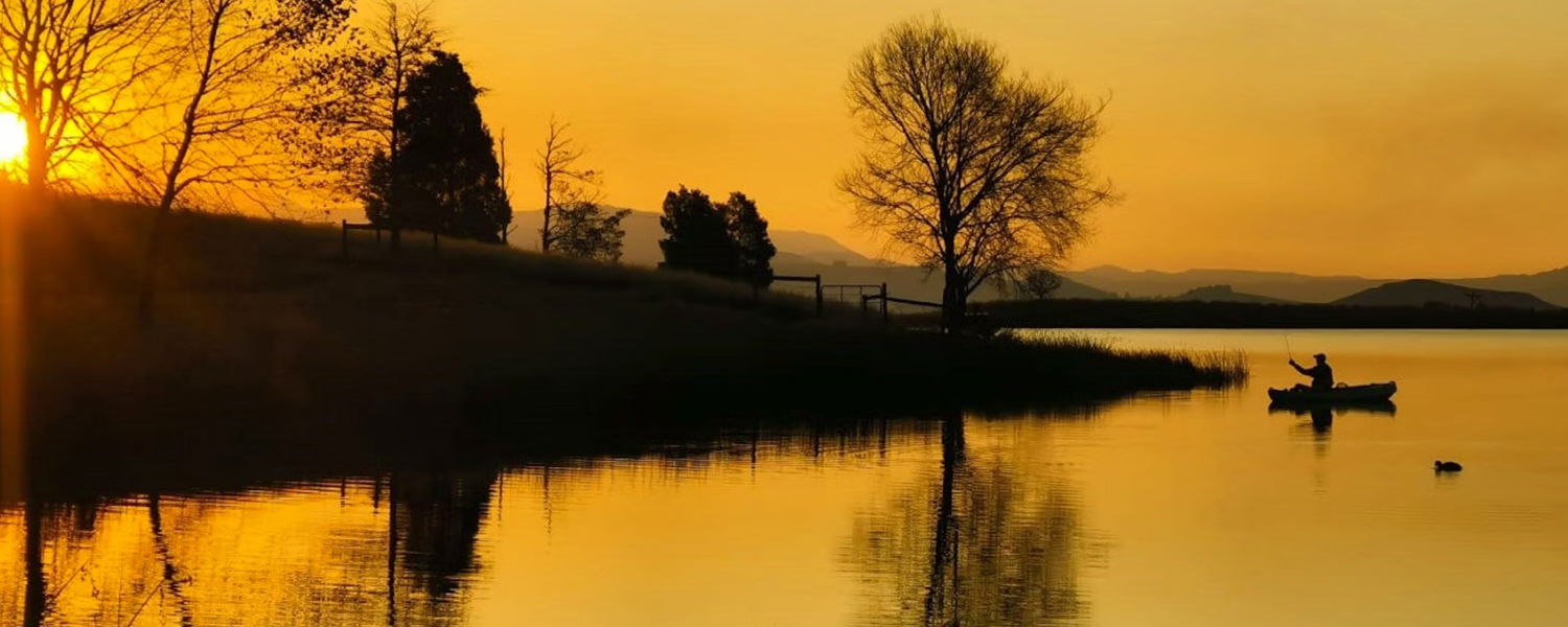 Pet-friendly accommodation in Dargle, KwaZulu-Natal Midlands. Dam-front self-catering cabin for two, small to medium dogs welcome by arrangement. Walking trails, trout dam, no resident dog interaction, ideal for calm, well-managed pets.