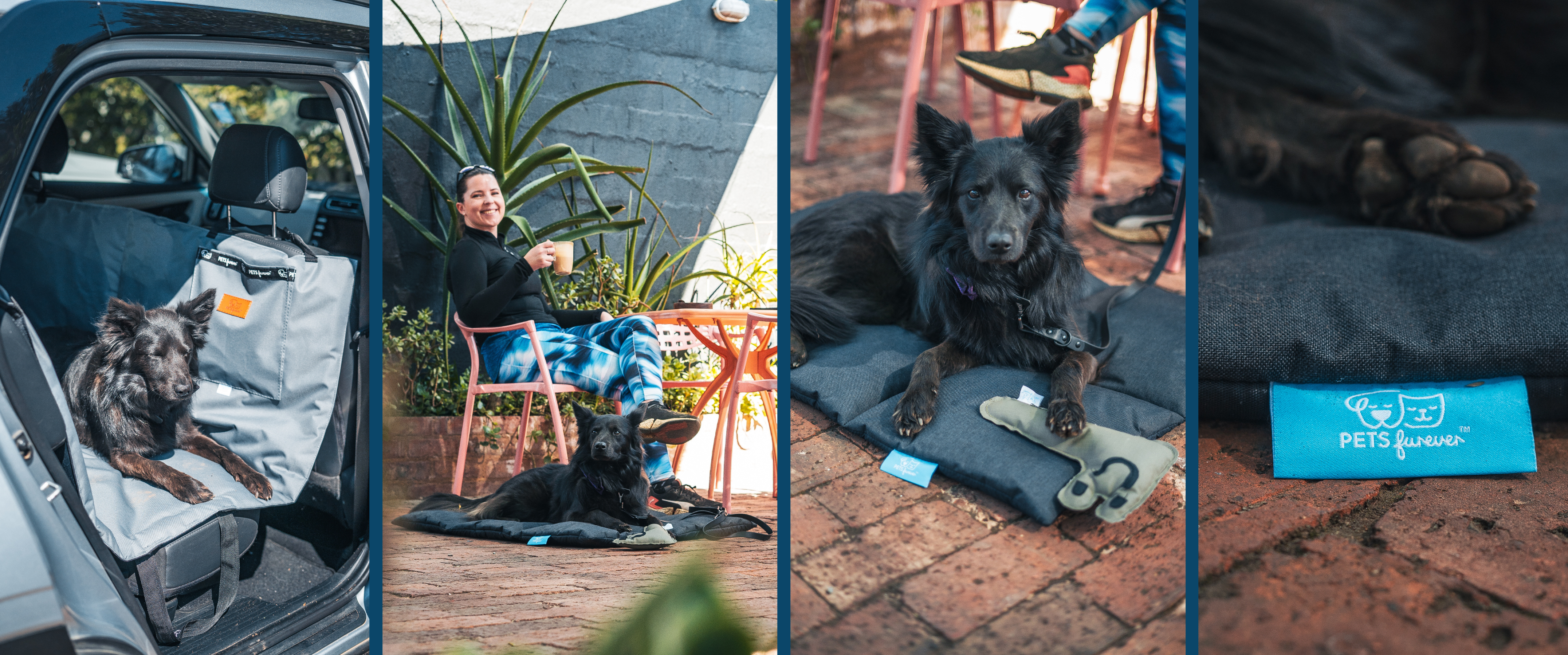 Essential Tips for Stress-Free Pet-Friendly Road Trips and Accommodation in South Africa 1