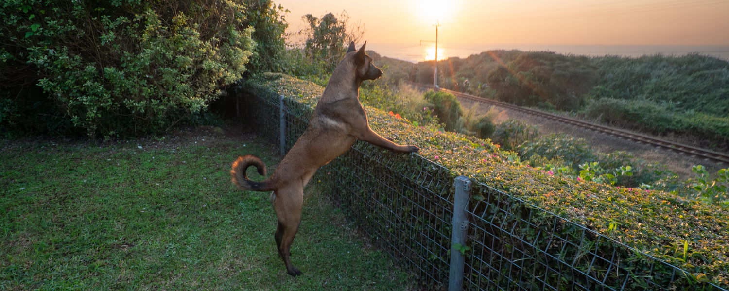 Fenced Pet-Friendly Beach House in Amanzimtoti, KwaZulu-Natal
