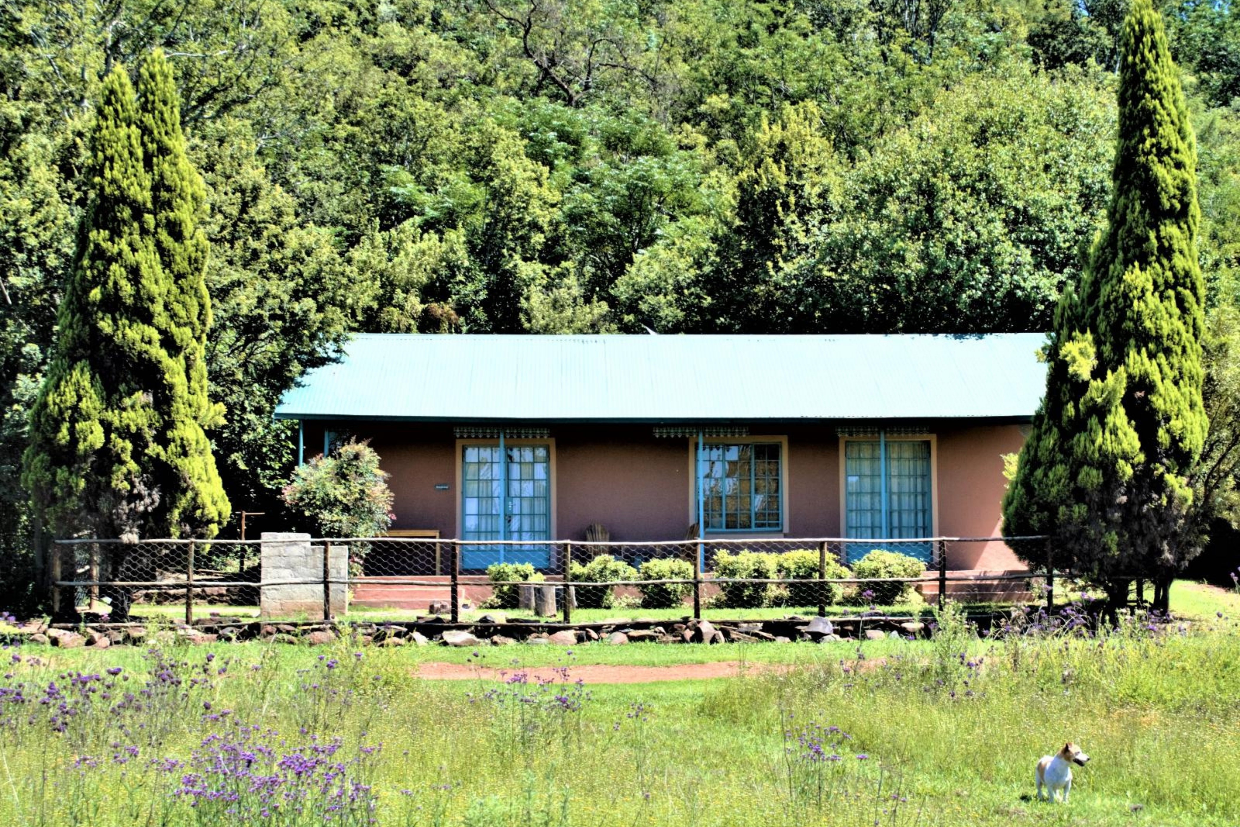 fenced-pet-friendly-accommodation-magaliesburg-gauteng