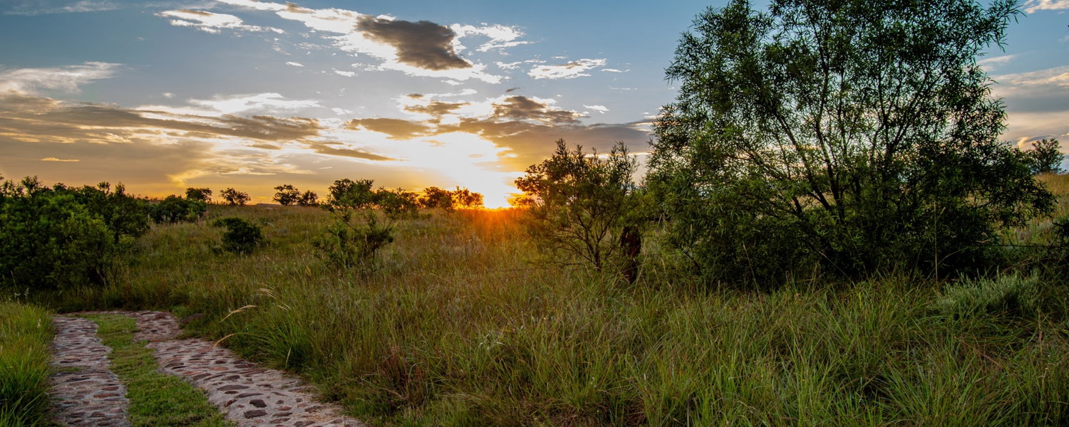 Fenced pet-friendly cottage in Magaliesburg Gauteng with private garden