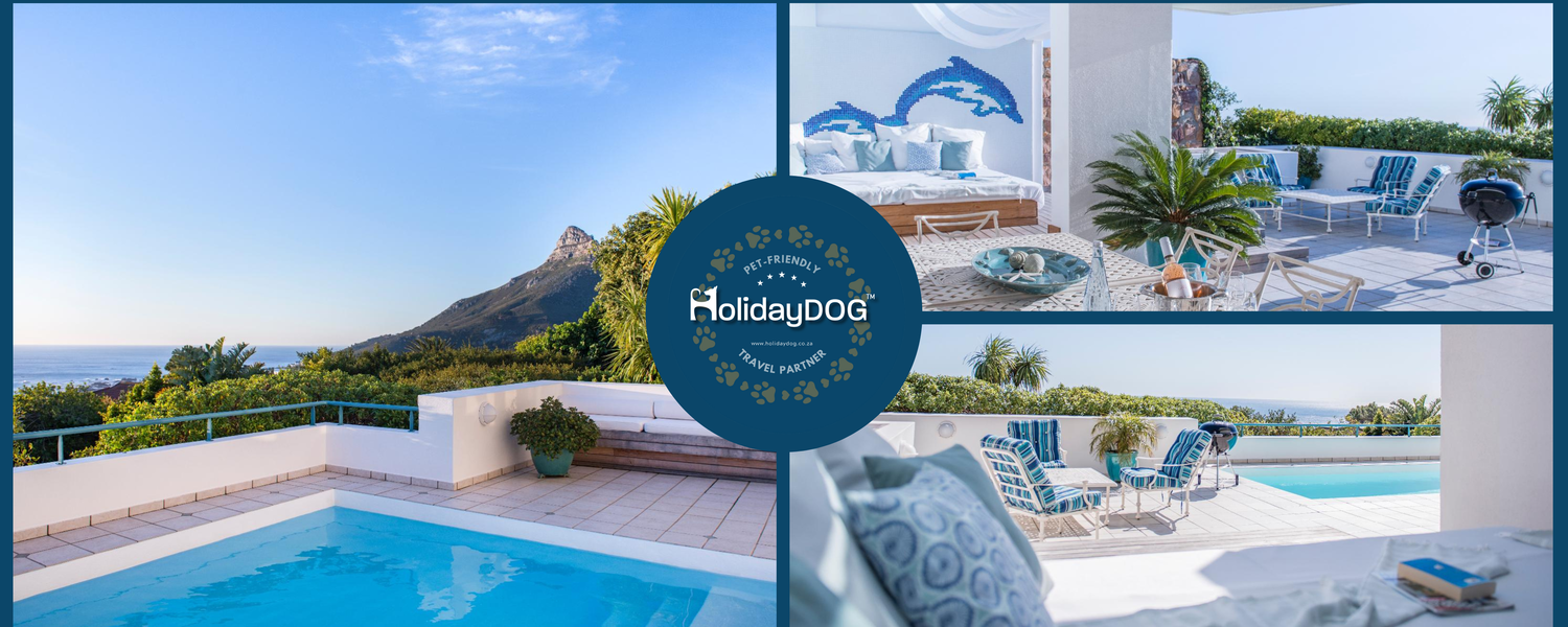 Fenced Pet-Friendly Accommodation Camps Bay Western Cape