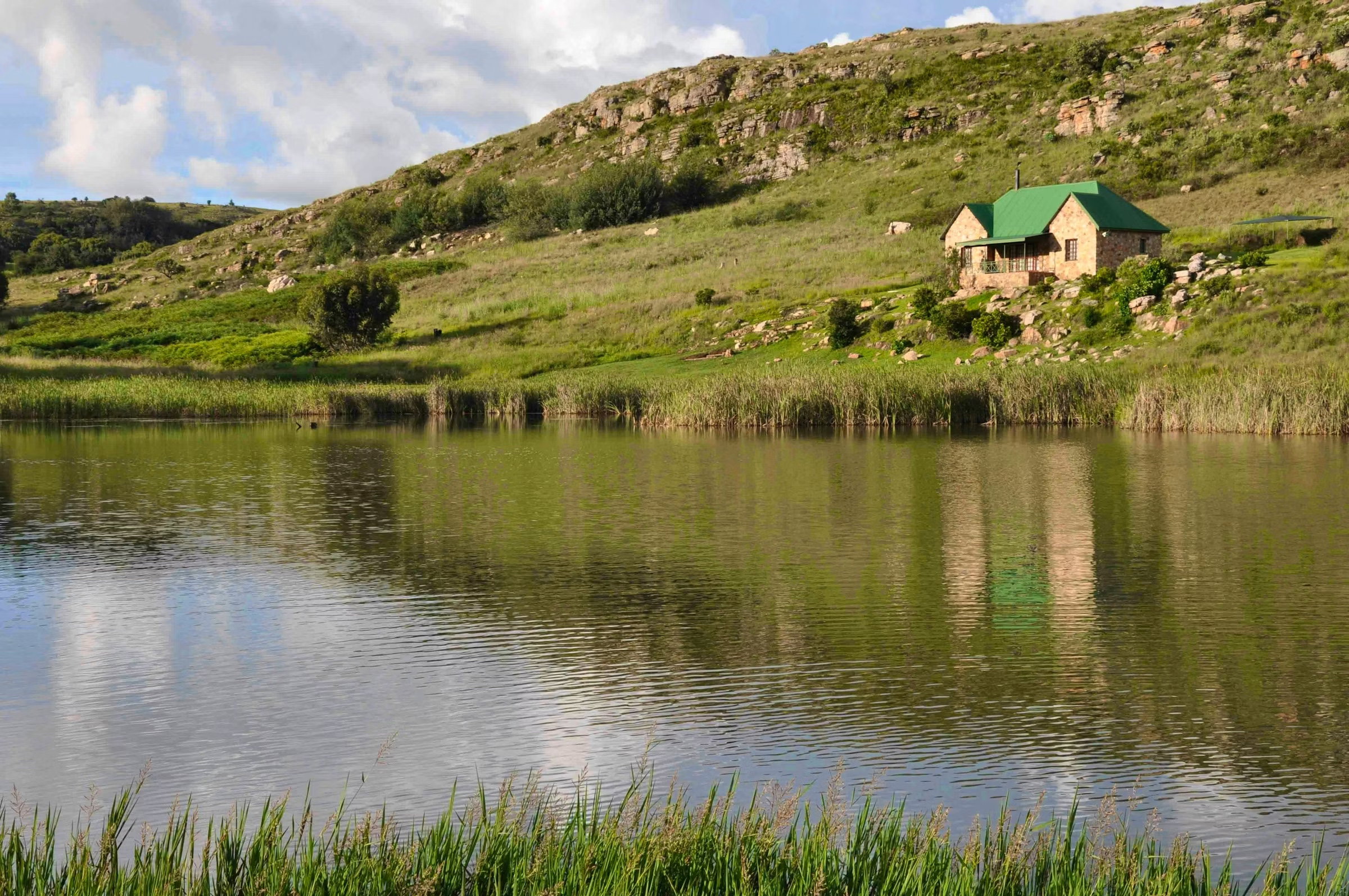 Fenced Pet-Friendly Farm Accommodation in Dullstroom, Mpumalanga, Fly Fishing