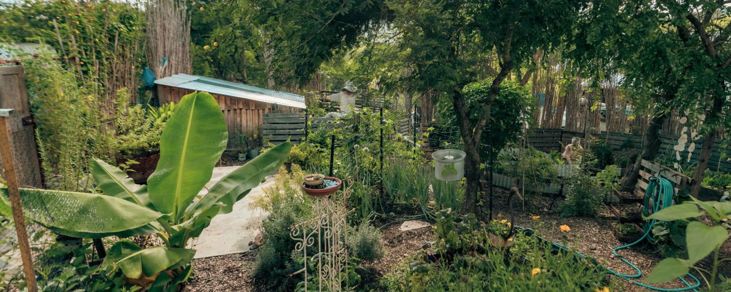 Fenced Pet-Friendly Accommodation near Mbombela Nelspruit Mpumalanga