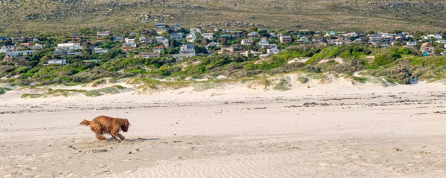 Fenced Pet-Friendly Beach House Accommodation in Scarborough, Cape Town