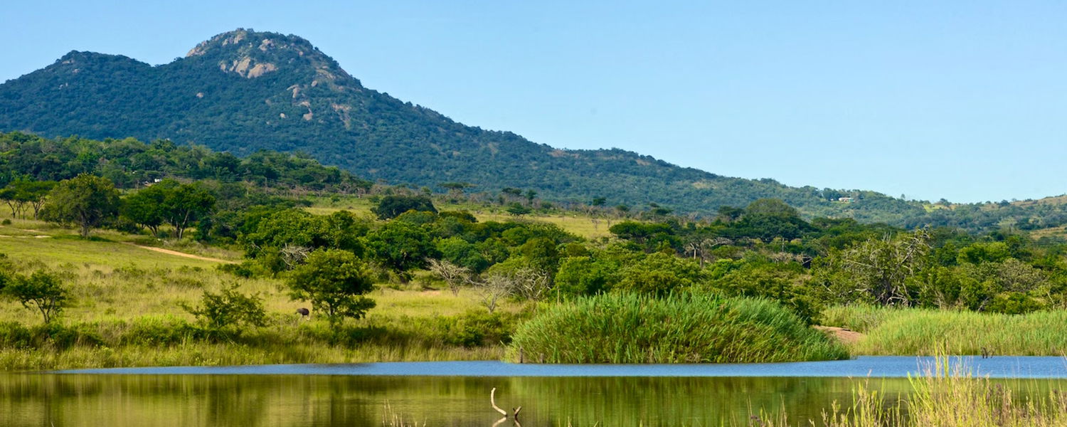 Fenced Pet-Friendly Bush Cottage in Mbombela Nelspruit, Mpumalanga - Crooked Cottage at Tomjachu Bush Retreat 3