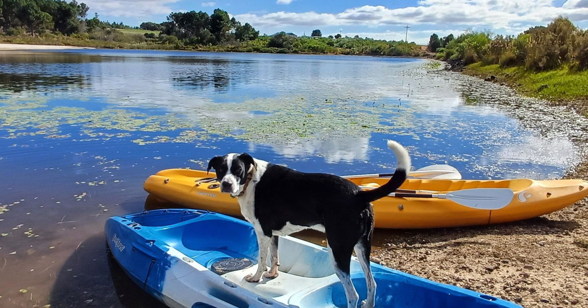 Nuwejaarsrivier
