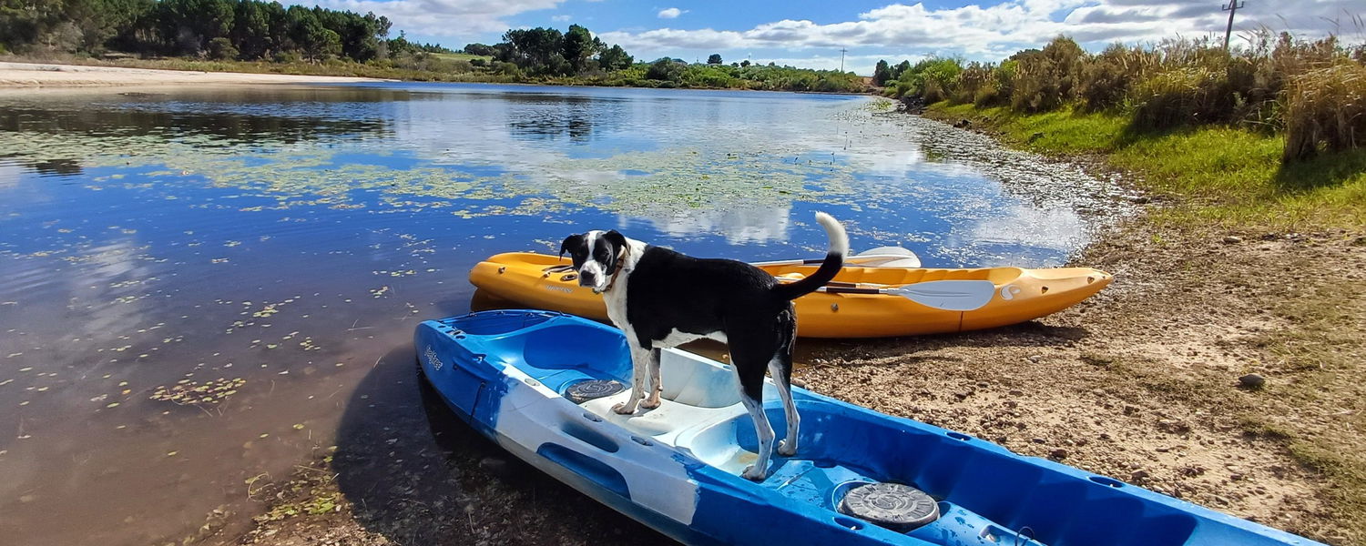 Fenced Pet-Friendly Self-Catering Farm Stay near Kleinmond Western Cape