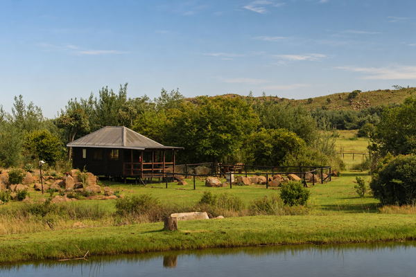 Pheasant-Tail Cabin