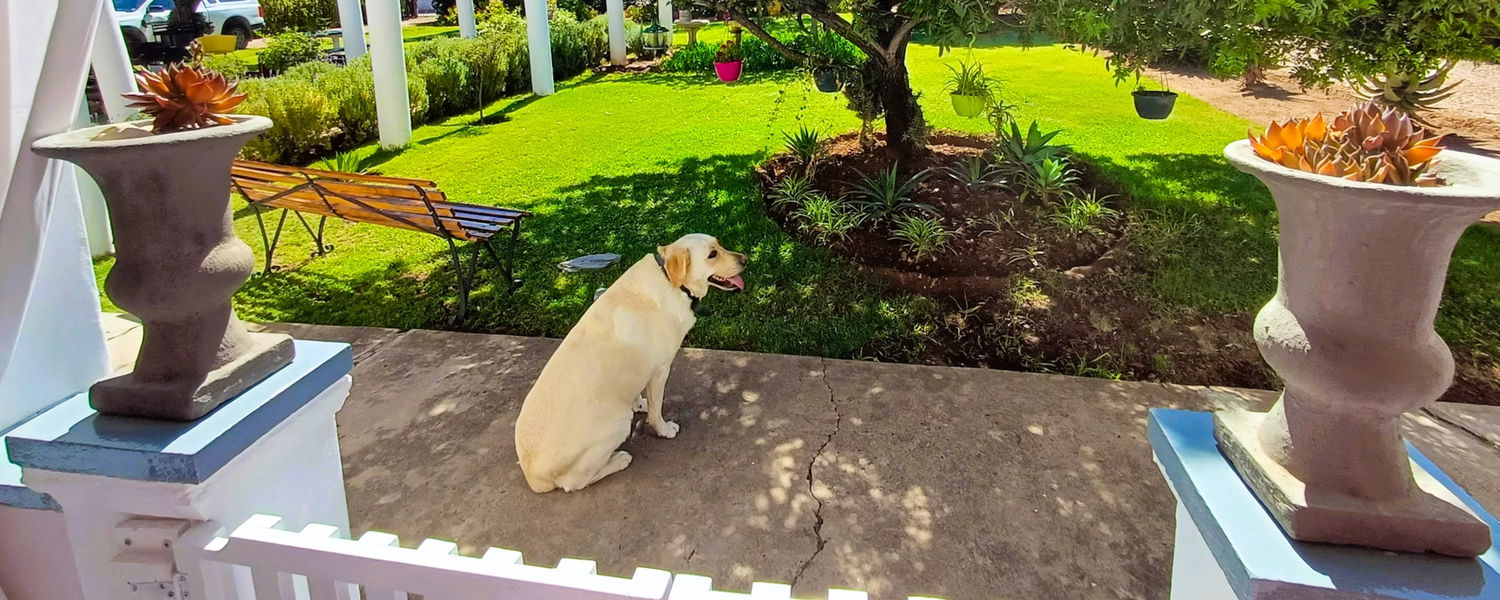 Fenced Pet-Friendly Accommodation in Oudtshoorn, Western Cape