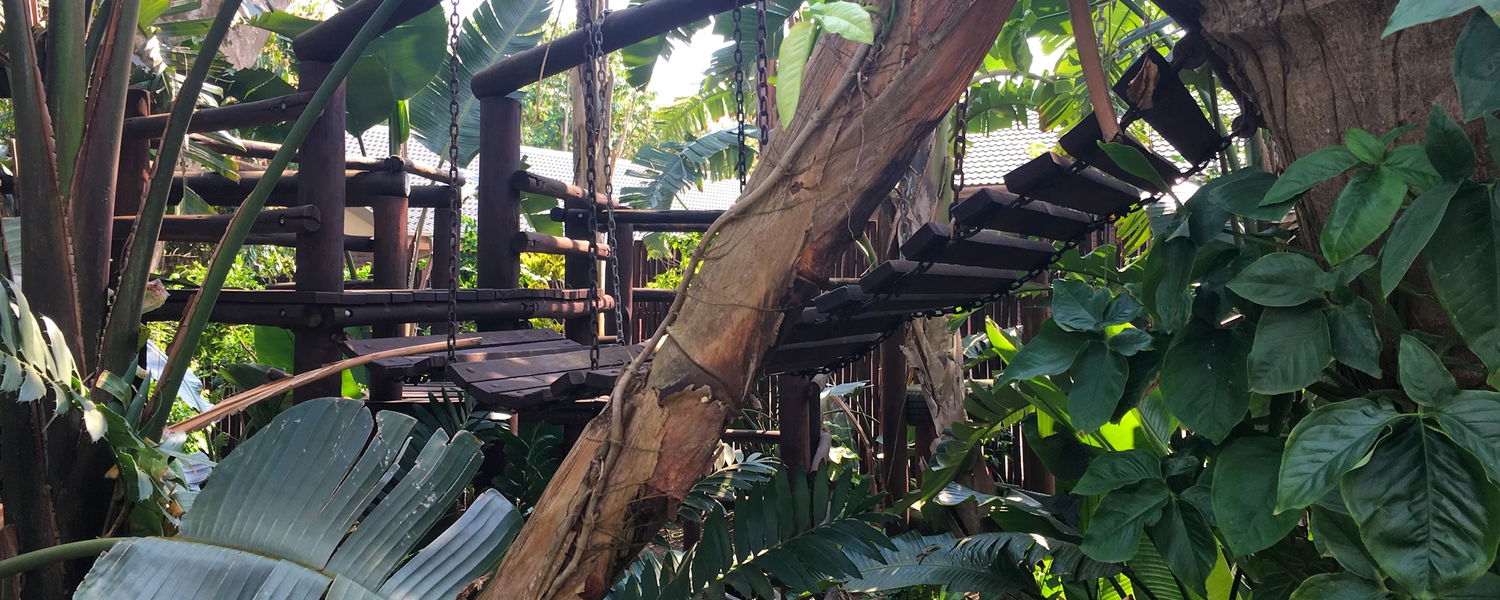 Fenced Pet Friendly Accommodation St Lucia, KwaZulu-Natal 6