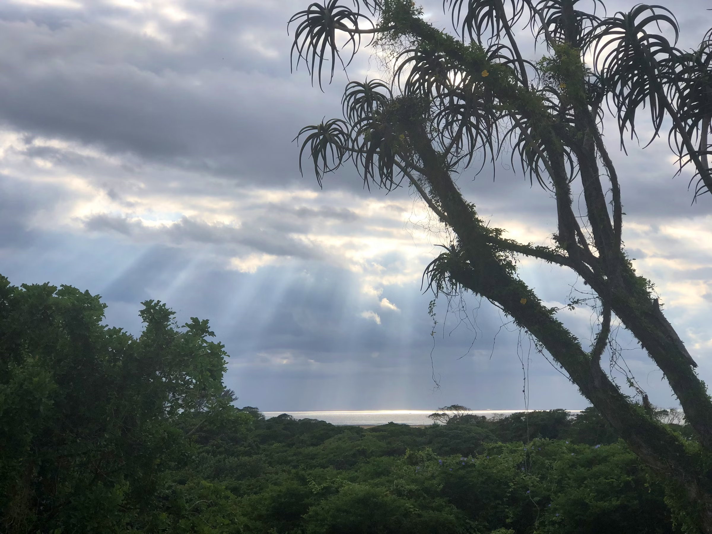 Fenced Pet Friendly Accommodation St Lucia, KwaZulu-Natal 1