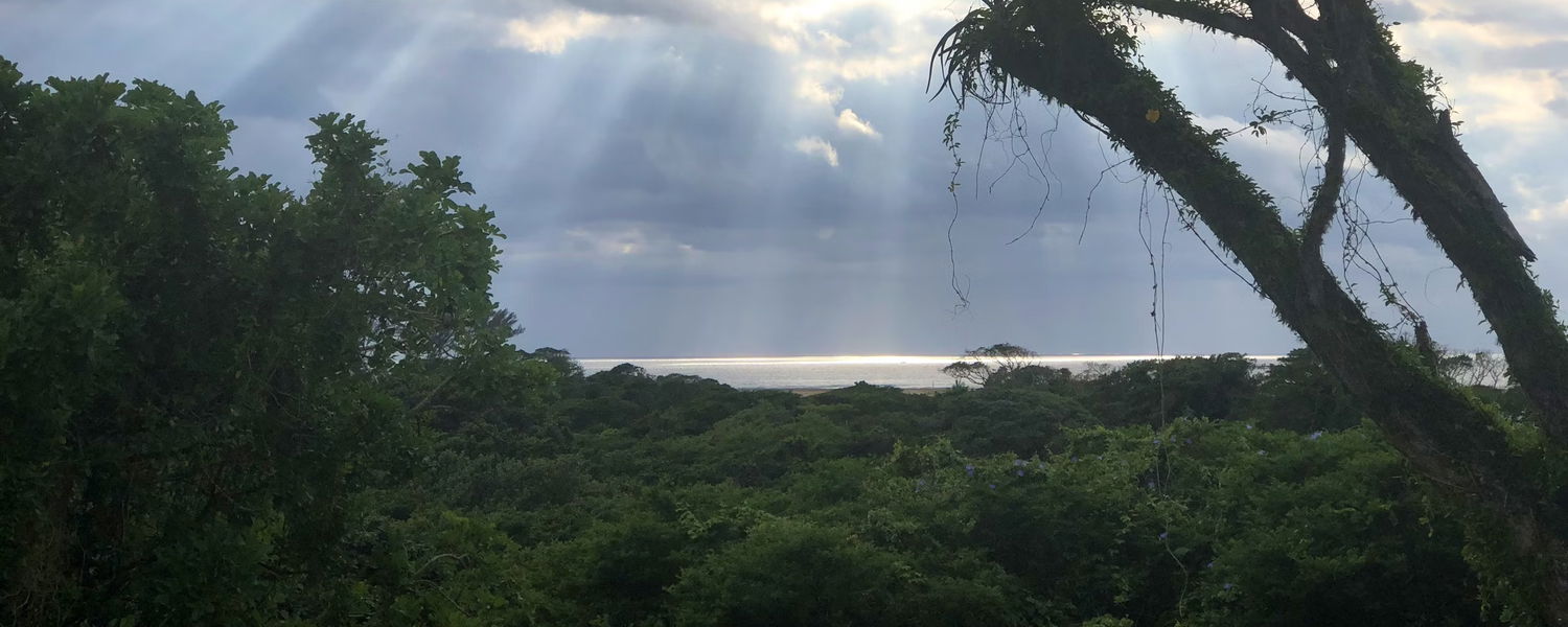 Fenced Pet Friendly Accommodation St Lucia, KwaZulu-Natal 1