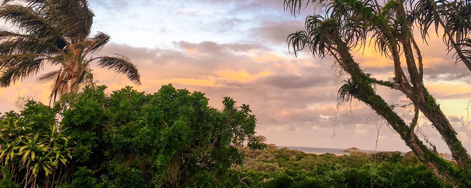 Fenced Pet Friendly Accommodation St Lucia, KwaZulu-Natal 5