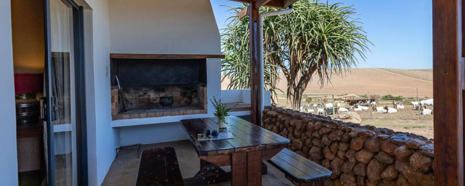 Fenced Pet Friendly Accommodation Swellendam Western Cape