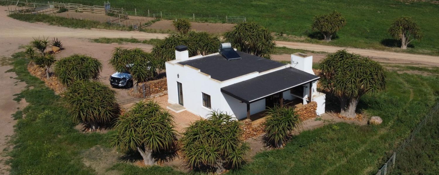 Fenced Pet Friendly Accommodation Swellendam Western Cape