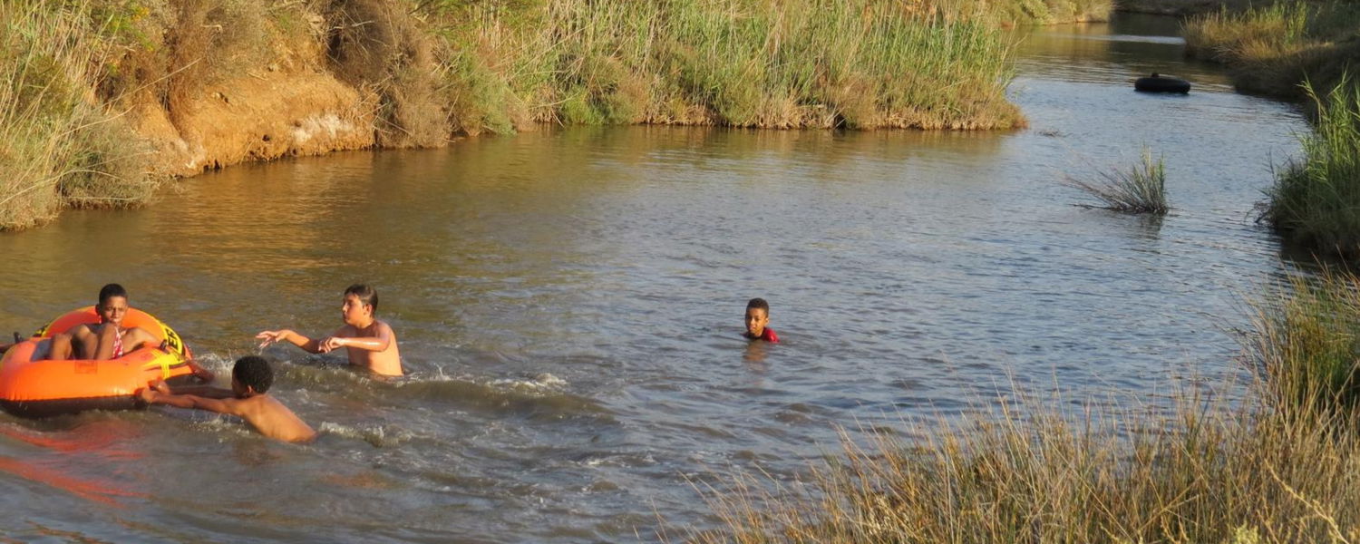 Fenced Pet Friendly Accommodation Swellendam Western Cape with a river