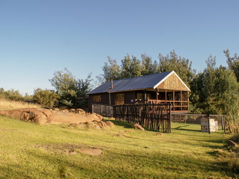 WIGGLYSTONE CABIN 