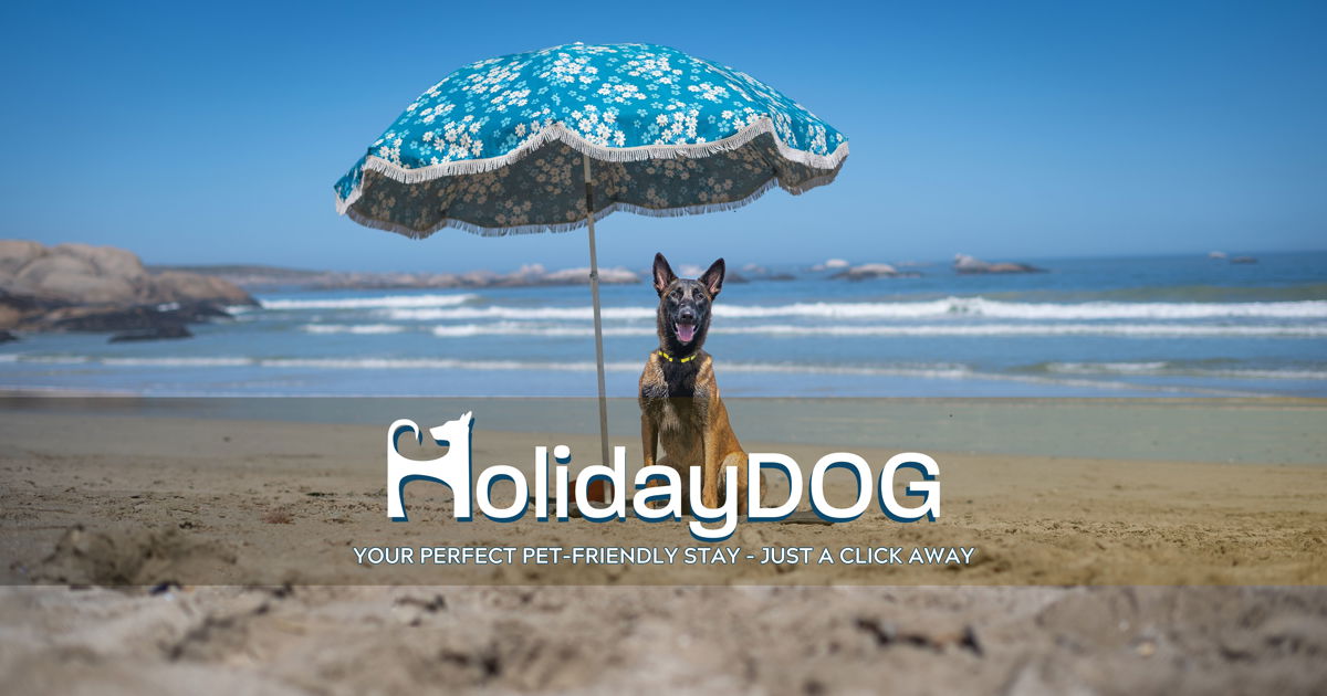 HolidayDOG is the only booking platform in South Africa offering exclusively verified pet-friendly accommodation options, designed for conscientious pet parents and hosts. Featuring detailed listings and providing a customizable filtering system to match the ideal place for every unique traveller, ensuring the perfect pet-friendly stay is just a click away.