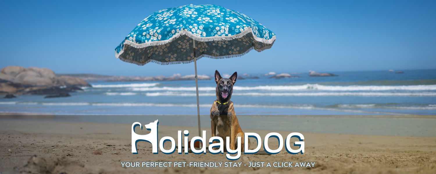 HolidayDOG is the only booking platform in South Africa offering exclusively verified pet-friendly accommodation options, designed for conscientious pet parents and hosts. Featuring detailed listings and providing a customizable filtering system to match the ideal place for every unique traveller, ensuring the perfect pet-friendly stay is just a click away.