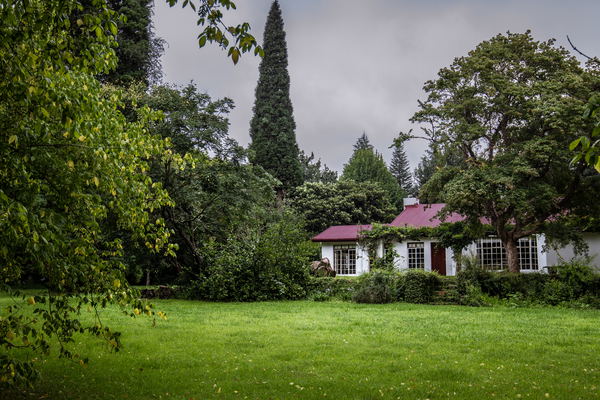 WISTERIA COTTAGE