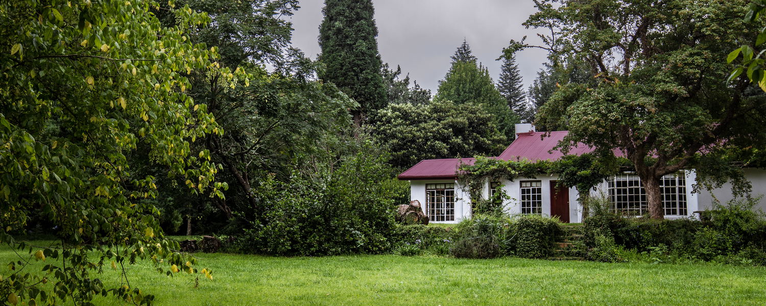 Pet friendly holiday accommodation in Machadodorp