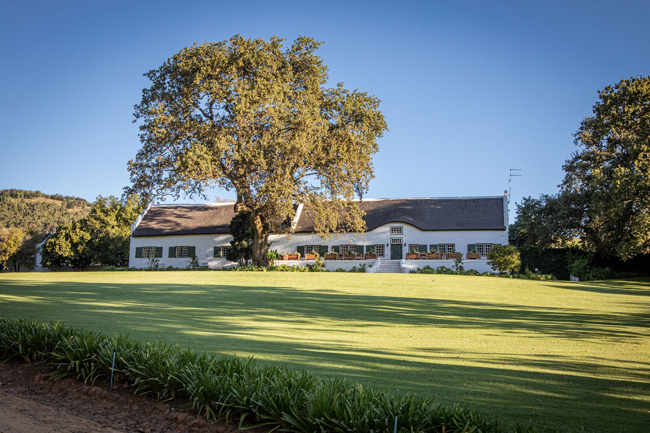 Pet-Friendly Wine Estate Retreat in the Cape Winelands