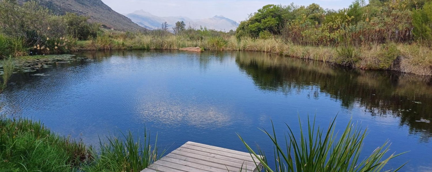 Pet-friendly accommodation Citrusdal Cederberg. Eco cabins and glamping tents in the Western Cape, ideal for a peaceful escape near Cape Town.