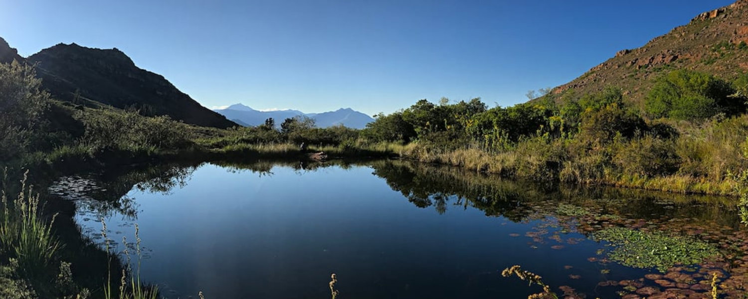 Pet-friendly accommodation Citrusdal Cederberg. Eco cabins and glamping tents in the Western Cape, ideal for a peaceful escape near Cape Town.
