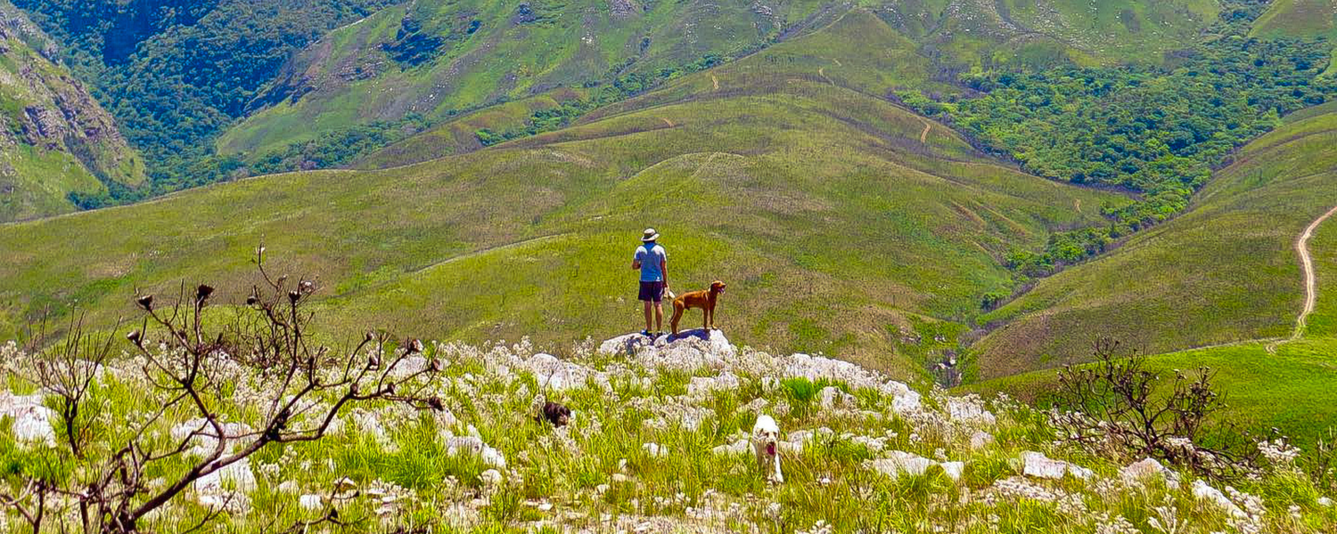 Pet-Friendly Accommodation Western Cape Greyton Riviersonderend 