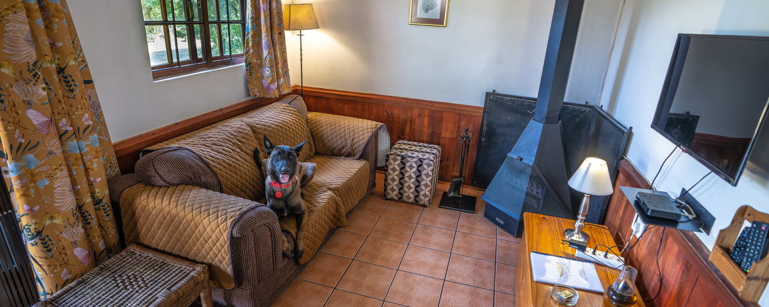 Fenced Pet-Friendly Getaway close to Johannesburg in a Self-Catering Cottage in Magaliesburg 