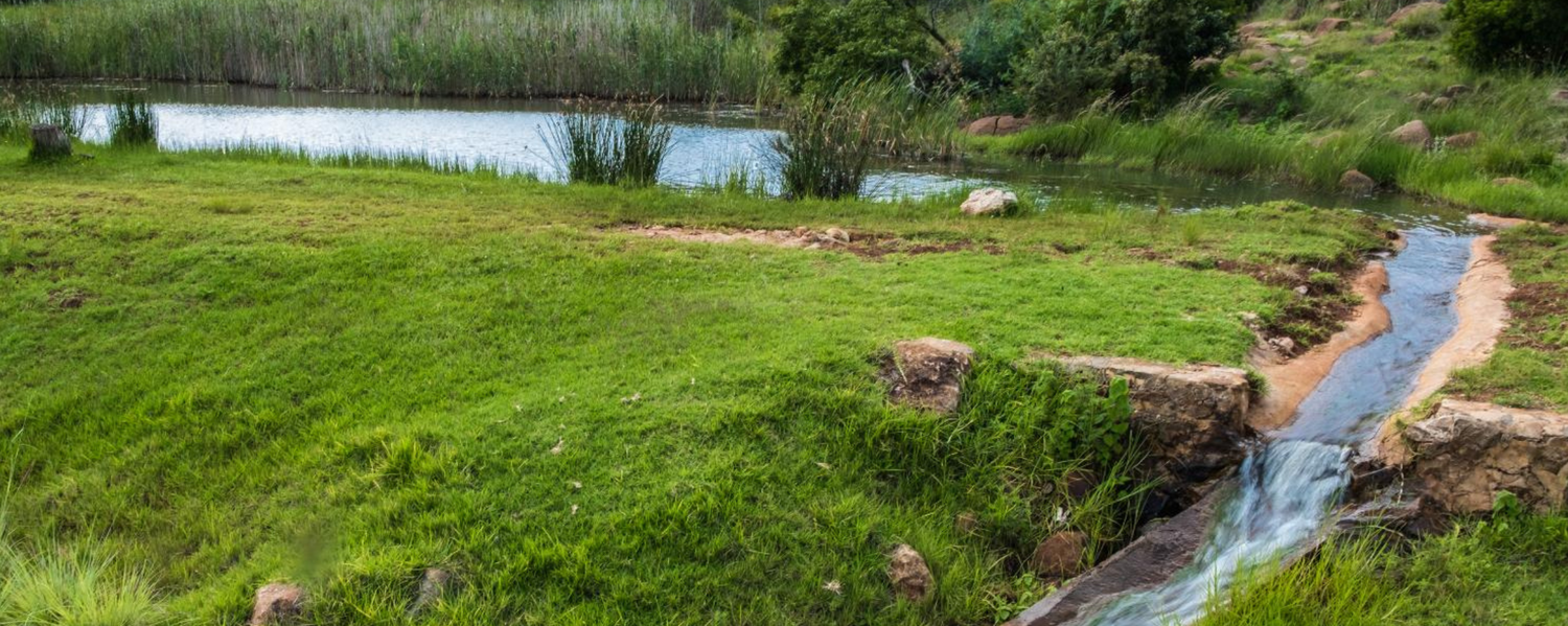 Pet-Friendly Self-Catering Country Cabin near Dullstroom