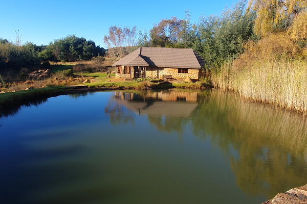 BROWN CABIN