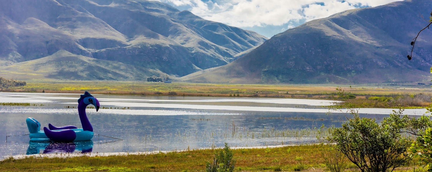 Pet-Friendly Self-Catering Stay in Stanford, Western Cape: The Black Eagle Bus 