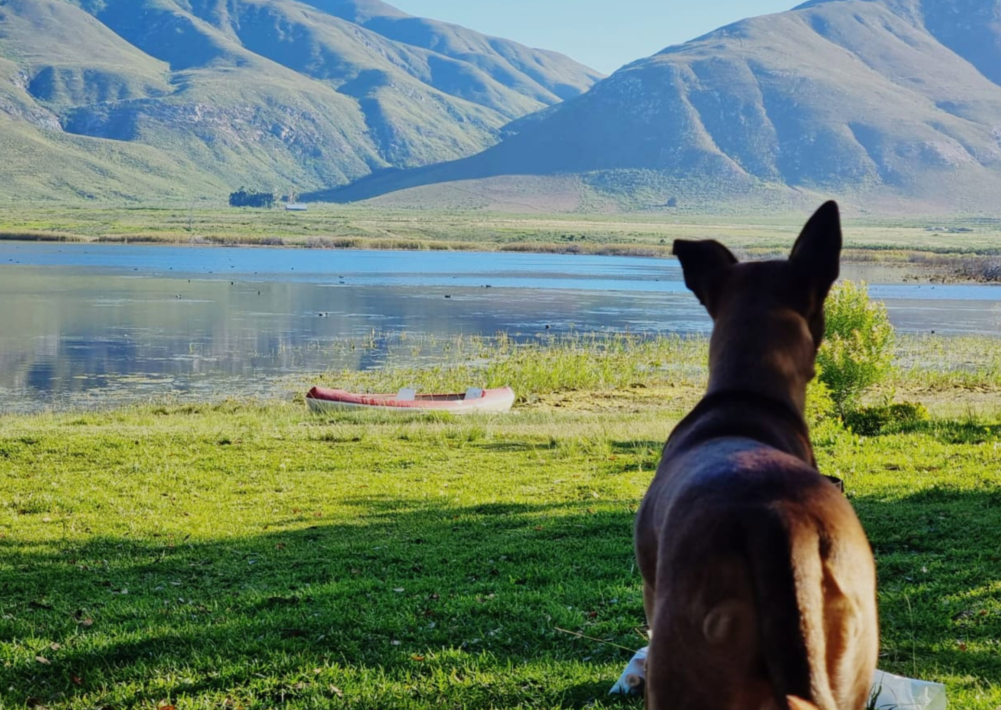 Pet-Friendly Self-Catering Stay in Stanford, Western Cape: The Black Eagle Bus 