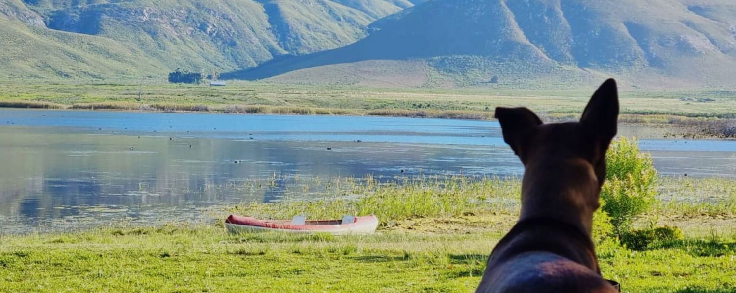 Pet-Friendly Self-Catering Stay in Stanford, Western Cape: The Black Eagle Bus 