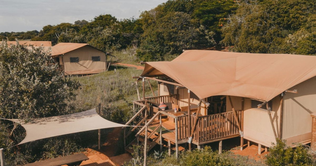 Hluhluwe Luxury Family Tent — photo 1