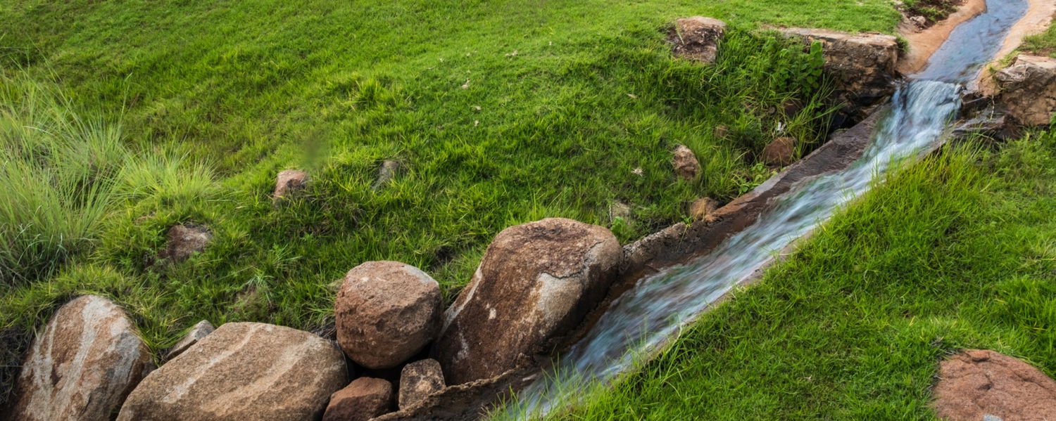 pet friendly accommodation dullstroom mpumalanga