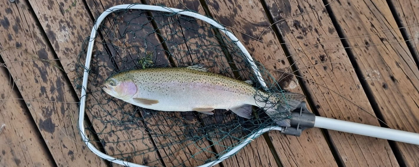 Fenced Pet Friendly Accommodation Dullstroom, Mpumalanga for fly fishing