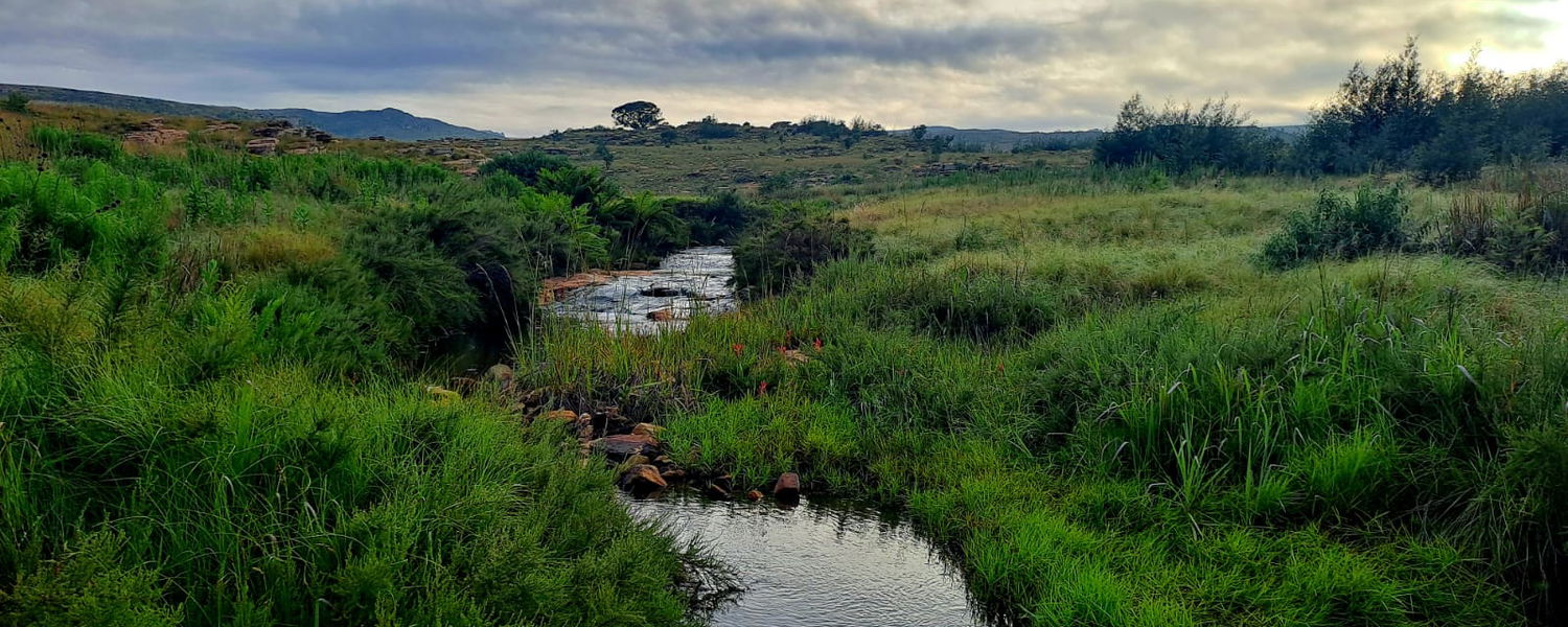 Fenced Pet Friendly Accommodation Dullstroom, Mpumalanga: The Farmstead