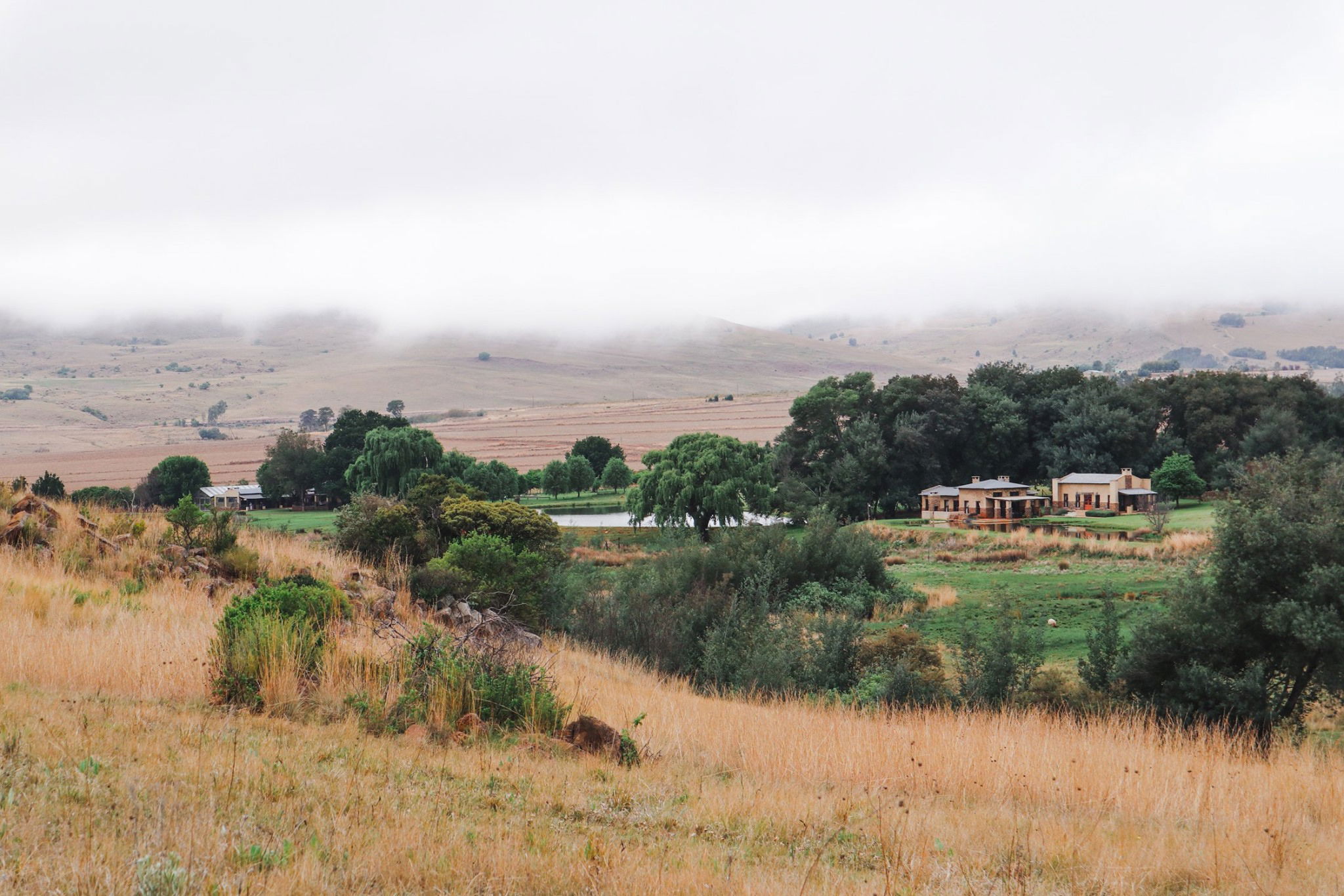 Pet Friendly Accommodation Dullstroom