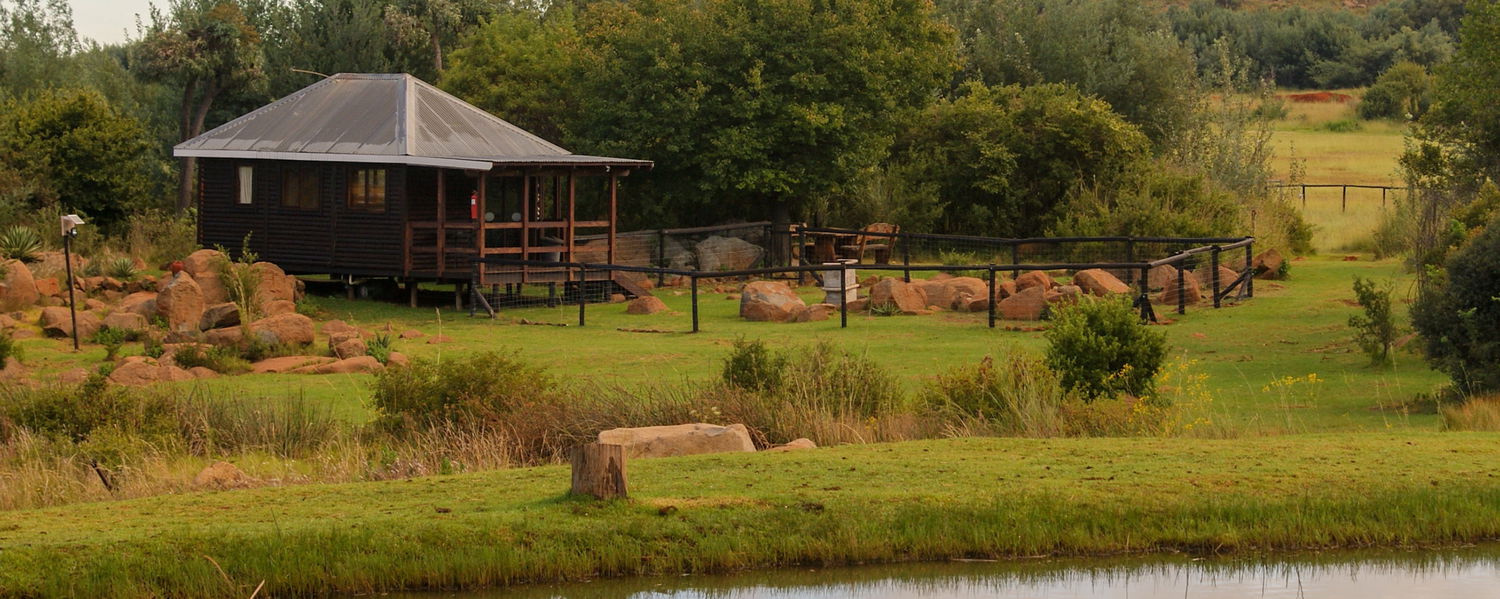 pet friendly accommodation dullstroom