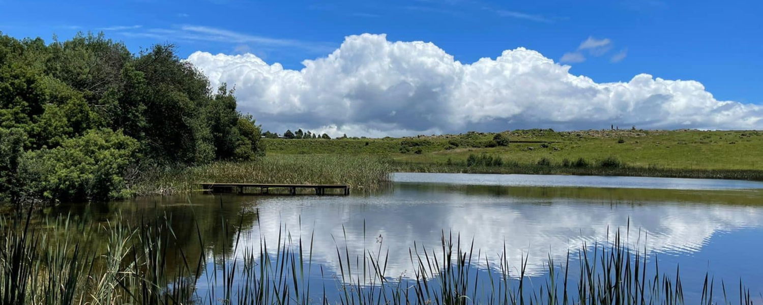 Fenced Pet Friendly Accommodation Dullstroom Mpumalanga 
