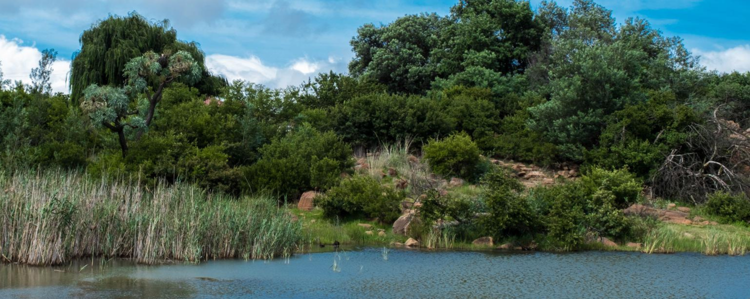 pet friendly accommodation Dullstroom Mpumalanga 