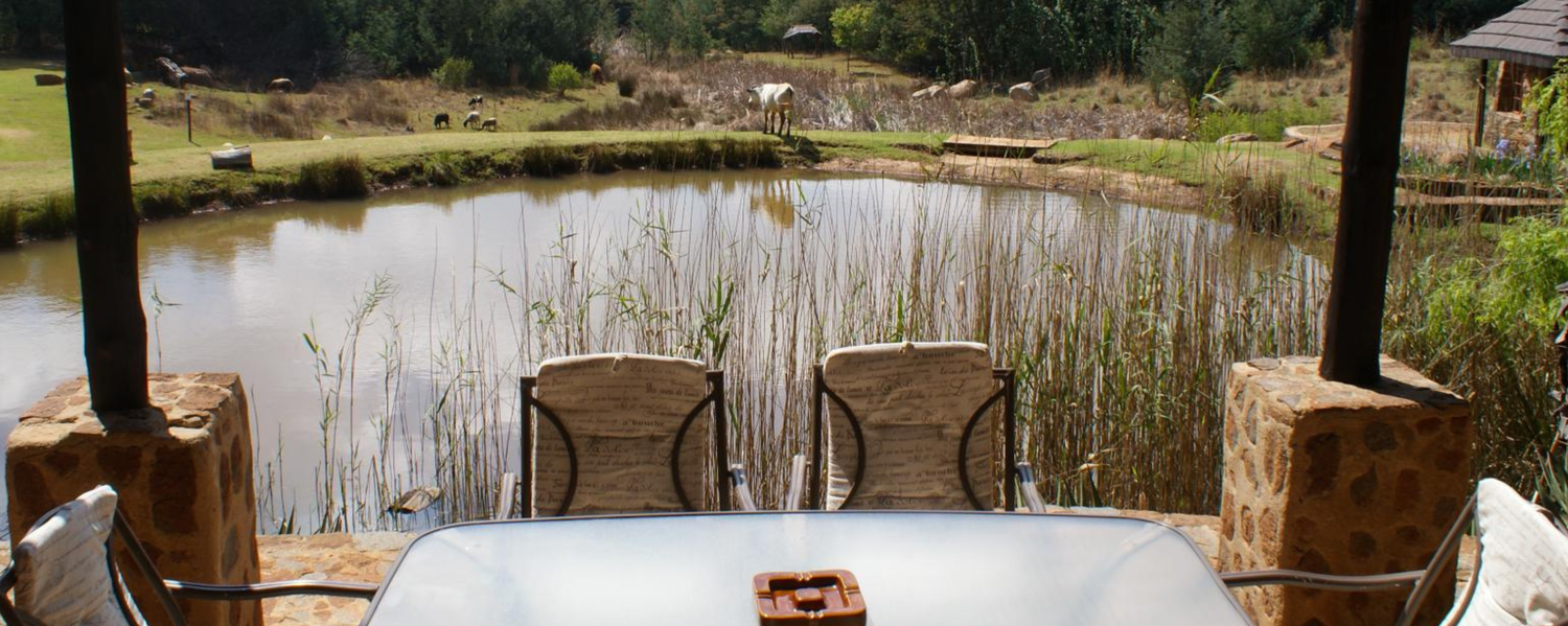 pet friendly accommodation Dullstroom Mpumalanga 