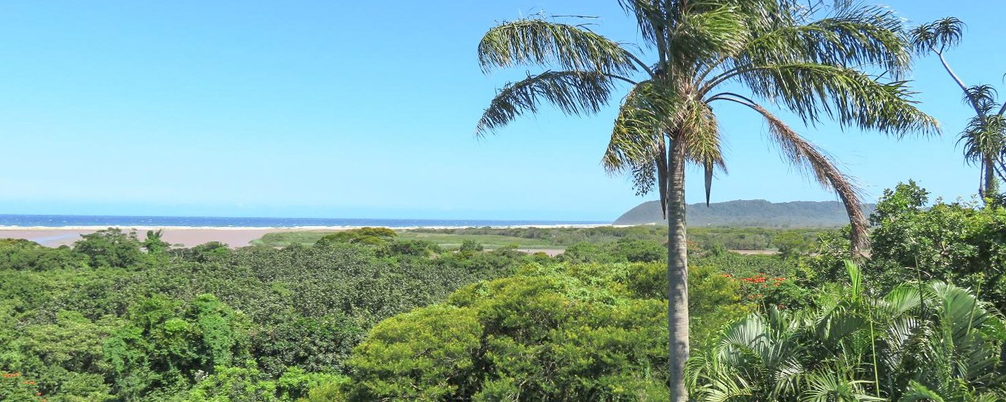 Pet Friendly Fenced Self Catering Accommodation St Lucia Little Eden 