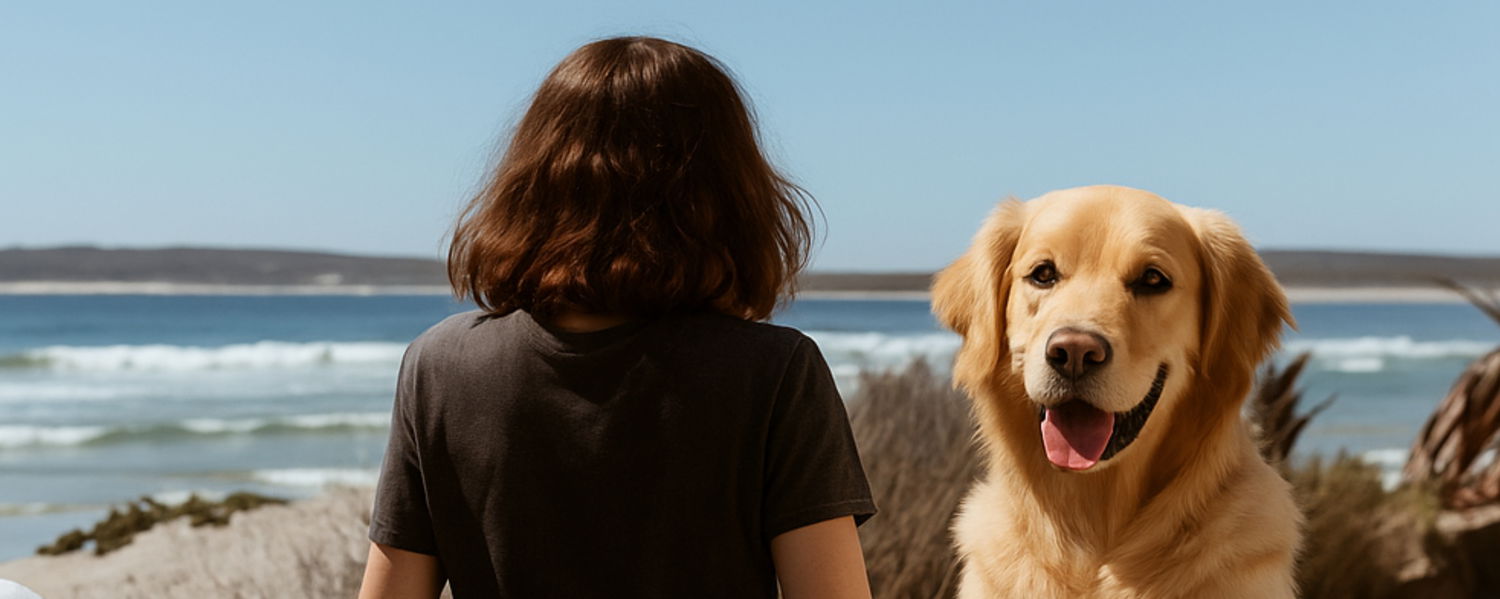 Beachfront Pet Friendly Accommodation Paternoster with Enclosed Area, Western Cape